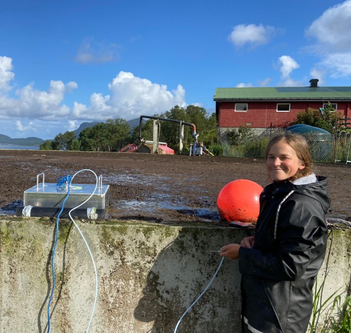 Sara Hansdotter står klar til å ta prøver av lufta som stiger opp fra bløtgjødsla. Konsentrasjon av ulike gasser i kammeret som flyter oppå gjødsla brukes til å bestemme utslippene. Foto: Sissel Hansen