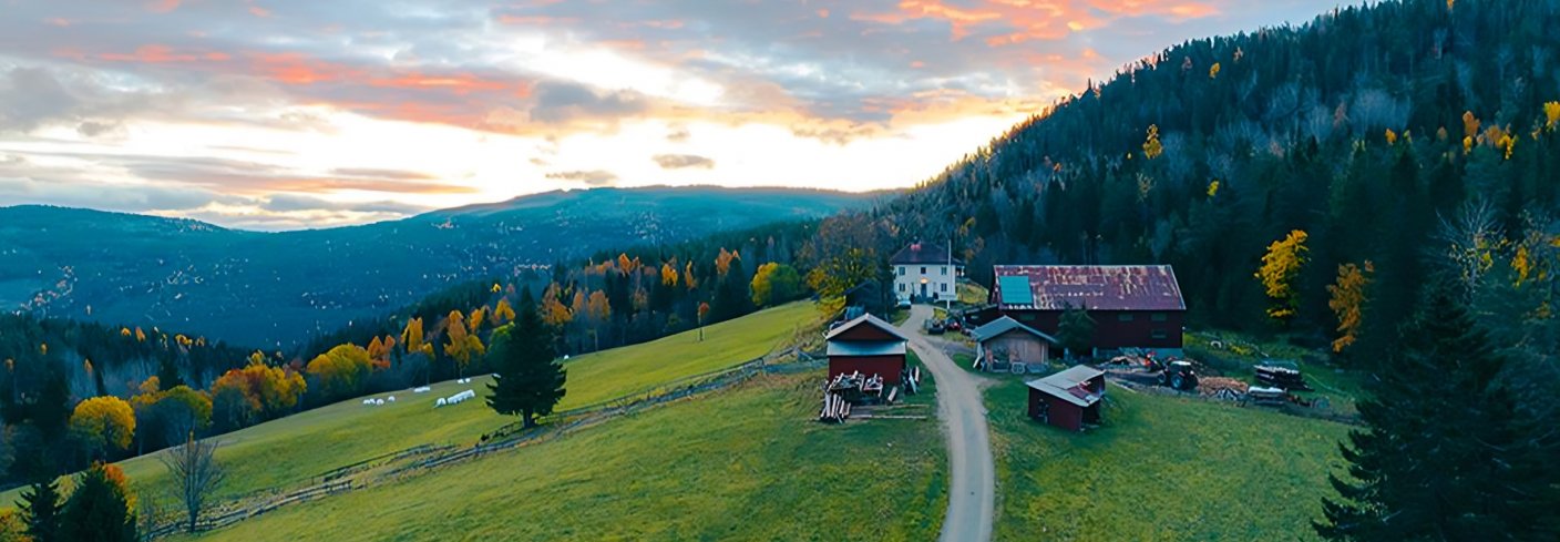 Tjønnås økogård ligger vakkert til 400 meter over havet helt øst i Hjartdal kommune. Foto: Visit Telemark