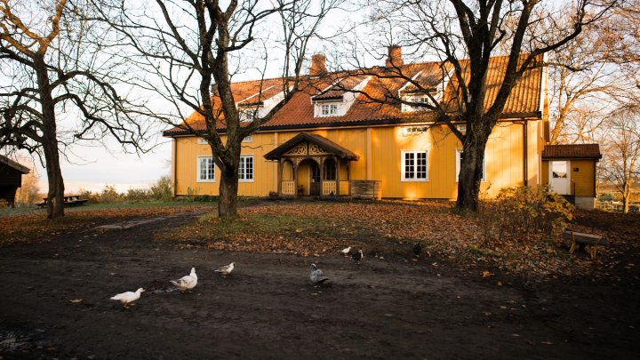 På Alm Østre er det plass til mangt og mye, til og med en andefamilie midt i veien. Det staselige våningshuset ble bygd i 1732, og var da rådhuset i Stange. Med støtte fra Kulturminnefondet ble huset nylig pusset opp utvendig, og etterisolert. Foto: A.-K. Løes