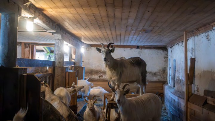 Geitefjøs Ommang Søndre