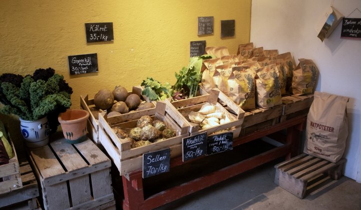 Gårdsbutikken er åpen døgnet rundt, men fortrinnsvis fra 9 til 18. Her kan man handle det man vil og vippse det varene koster. Foto: A.-K. Løes