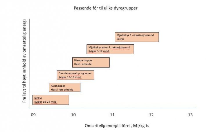 Oversikt over anbefalt energiinnhold til ulike dyregrupper. Fritt etter Hancock, 2011. Foto: Figuren er henta fra Spörndly sitt foredrag på Vallkonferens 2015.