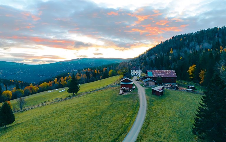 Tjønnås økogård ligger vakkert til 400 meter over havet helt øst i Hjartdal kommune. Foto: Visit Telemark